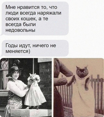 Комментарий с изображением на AdMe.Media