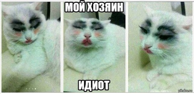 Комментарий с изображением на AdMe.Media