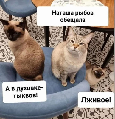 Комментарий с изображением на AdMe.Media