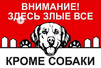 Комментарий с изображением на AdMe.Media