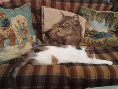 Комментарий с изображением на AdMe.Media