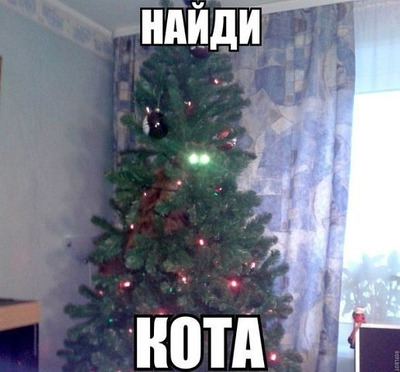 Комментарий с изображением на AdMe.Media