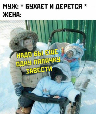 Комментарий с изображением на AdMe.Media
