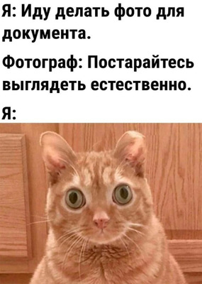 Комментарий с изображением на AdMe.Media