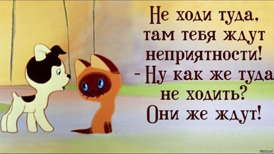 Комментарий с изображением на AdMe.Media