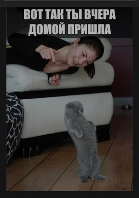Комментарий с изображением на AdMe.Media