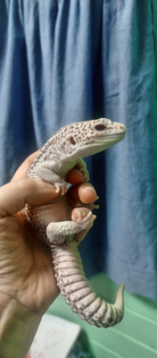 Комментарий с изображением на AdMe.Media