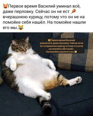 Комментарий с изображением на AdMe.Media