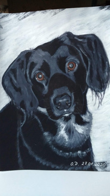 Комментарий с изображением на AdMe.Media