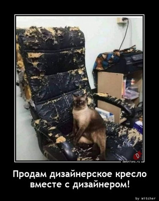 Комментарий с изображением на AdMe.Media