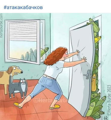 Комментарий с изображением на AdMe.Media