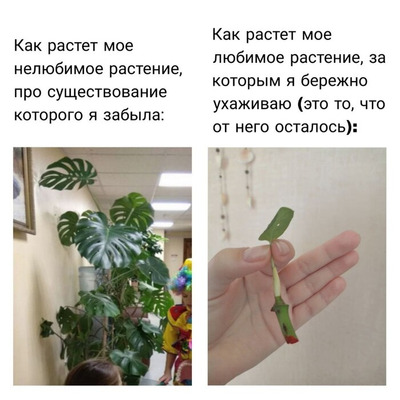 Комментарий с изображением на AdMe.Media
