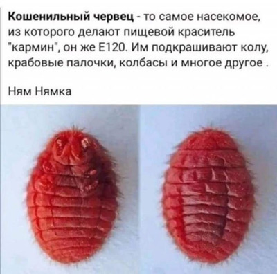 Комментарий с изображением на AdMe.Media