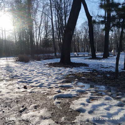 Комментарий с изображением на AdMe.Media