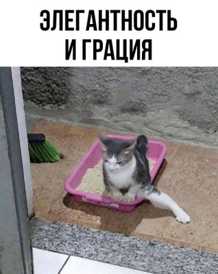 Комментарий с изображением на AdMe.Media