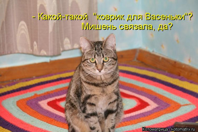 Комментарий с изображением на AdMe.Media