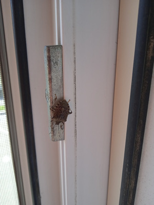 Комментарий с изображением на AdMe.Media