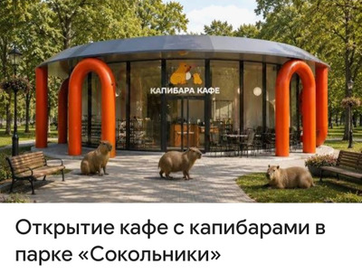 Комментарий с изображением на AdMe.Media