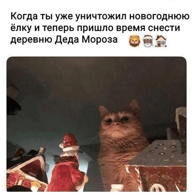 Комментарий с изображением на AdMe.Media