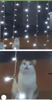 Комментарий с изображением на AdMe.Media