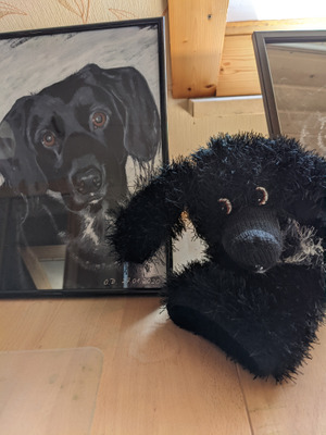 Комментарий с изображением на AdMe.Media