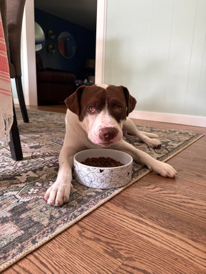 Комментарий с изображением на AdMe.Media