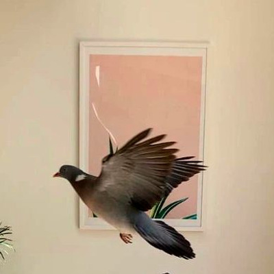 Комментарий с изображением на AdMe.Media