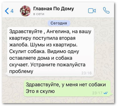 Комментарий с изображением на AdMe.Media