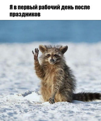Комментарий с изображением на AdMe.Media