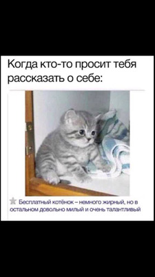Комментарий с изображением на AdMe.Media