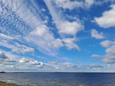 Комментарий с изображением на AdMe.Media