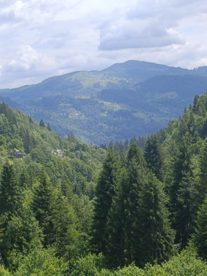 Комментарий с изображением на AdMe.Media