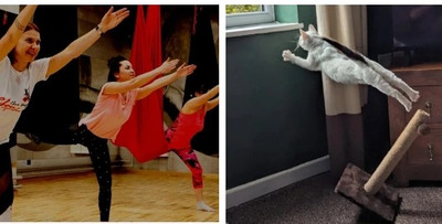 Комментарий с изображением на AdMe.Media