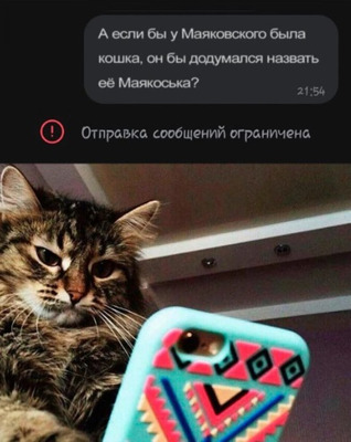 Комментарий с изображением на AdMe.Media