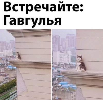 Комментарий с изображением на AdMe.Media