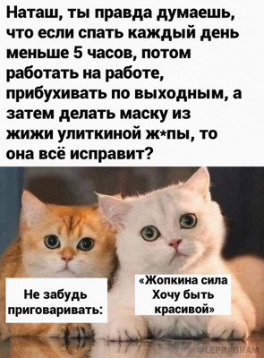 Комментарий с изображением на AdMe.Media
