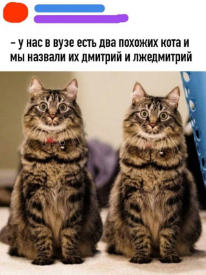 Комментарий с изображением на AdMe.Media
