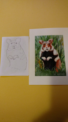 Комментарий с изображением на AdMe.Media