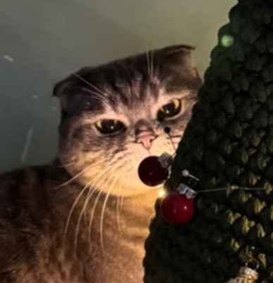 Комментарий с изображением на AdMe.Media