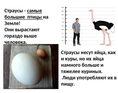 Комментарий с изображением на AdMe.Media