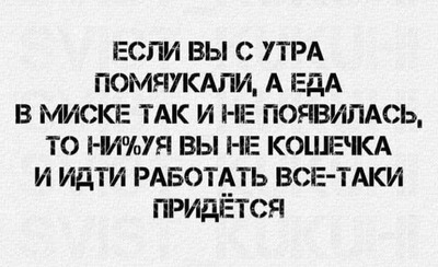 Комментарий с изображением на AdMe.Media