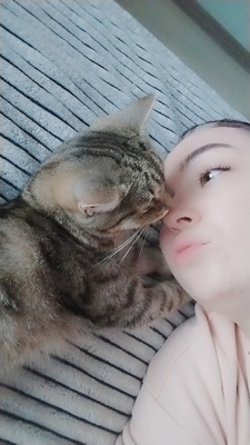 Комментарий с изображением на AdMe.Media