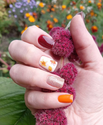 Комментарий с изображением на AdMe.Media