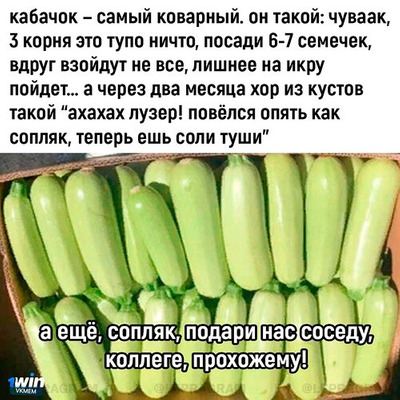 Комментарий с изображением на AdMe.Media