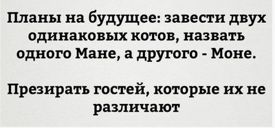 Комментарий с изображением на AdMe.Media
