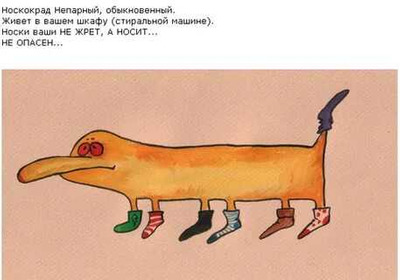 Комментарий с изображением на AdMe.Media