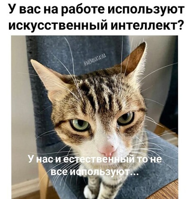 Комментарий с изображением на AdMe.Media