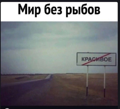 Комментарий с изображением на AdMe.Media