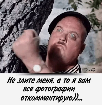Комментарий с изображением на AdMe.Media
