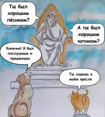 Комментарий с изображением на AdMe.Media